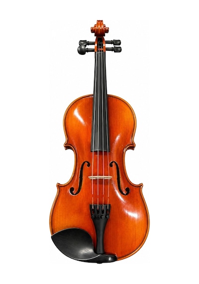 Rösler Rs200c 4/4 Concert Keman Seti
