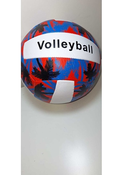 Forssi Sport Voleybol Topu Çok Renkli