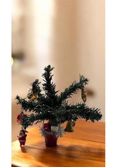 Bukıro Mini Yılbaşı Ağacı, Led Işıklı, Kırmızı Saksılı, Yeşil Ve Kırmızı, 25 Cm, Plastik Yapay Çam, No Diğer