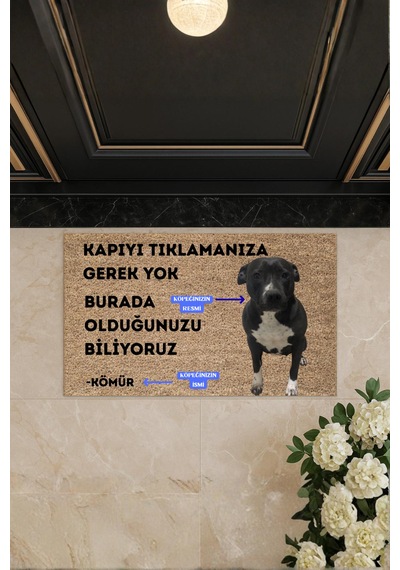 Köpeğiniz, Kediniz İle Özel Tasarım Paspas Yüksek Kaliteli Dijital Baskılı Kaymaz Kapı Önü Paspası Bej