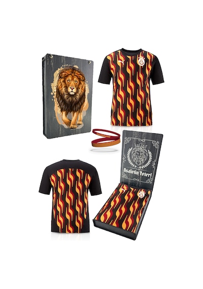 Galatasaray Lisanslı Sıfır Yaka Siyah Antrenman T-shirt + Bileklik Set Hediyelik Ahşap Kutulu Kırmızı - Gri Galatasaray Lisanslı Sıfır Yaka Siyah Antrenman T-shirt + Bileklik Set Hediyelik Ahşap Kutulu Kırmızı - Gri