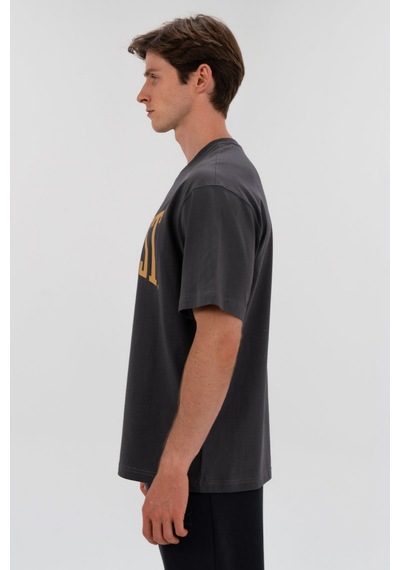 Everlast Ever Classics Comfort Logo Gri Erkek Tişört Tm0045-415