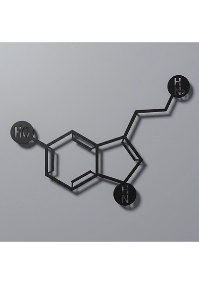 Serotonin Metal Tablo Siyah