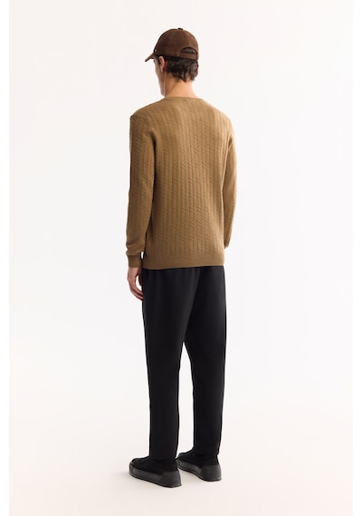 Avva Erkek Kamel Bisiklet Yaka %100 Akrilik Dokulu Triko Regular Fit Kazak E005088 Camel