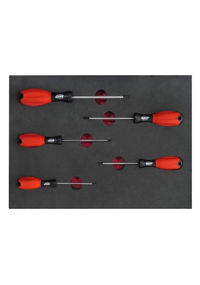 Brio Tornavida Seti Torx 5 Parça T10-T30 Sünger Yataklı