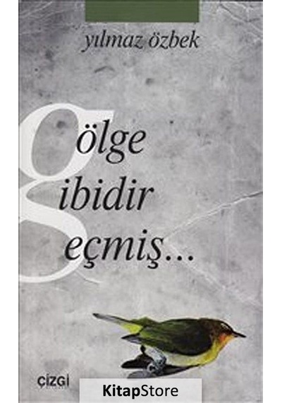Gölge Gibidir Geçmiş - Yılmaz Özbek - Çizgi Kitabevi