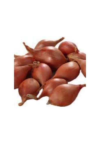 50 Adet Tohum Eko Paket Kıska Soğan Tohum Soğan Tohum Soğan Kıska Tohum Sürpriz Hediye Sebze Tohum