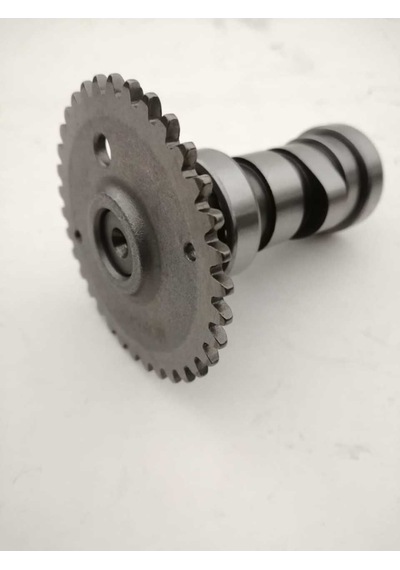 Sc150 Eksentrik Mili 6/a Sc0405