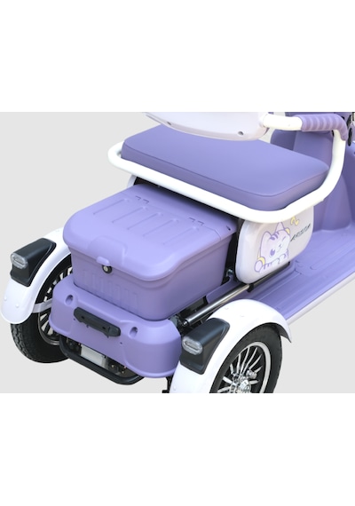 Arora Rüzgar New 650 W 3 Tekerlekli Elektrikli Motosiklet Lila