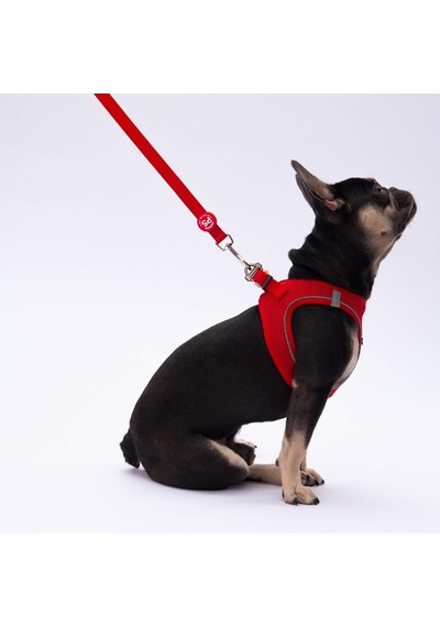 Pawstar Kırmızı Leash Kedi Köpek Sevk & Gezdirme Kayışı Köpek Uzatma Tasması Kırmızı
