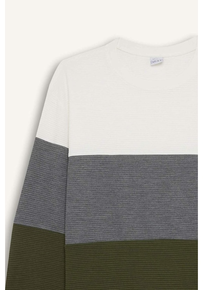 DeFacto Regular Fit Bisiklet Yaka Renk Bloklu Jakarlı Sweatshirt D5393AX24AUGN351