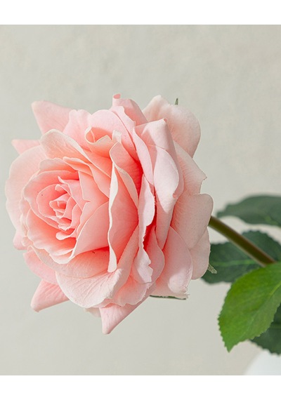 Canker Bloom Kumaş Tek Dal Yapay Çiçek Yavruağzı