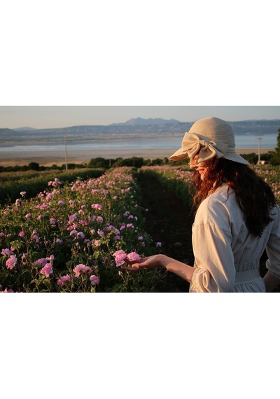 Gül Yağı Rose Oil 1,17 Ml Diğer
