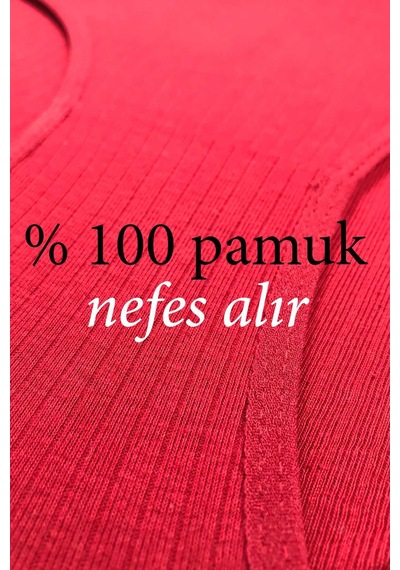 Royaleks 4 Adet Kadın Yüksek Bel Ribana Bato Külot S014 RYL-ARHMABT4014 Çok Renkli