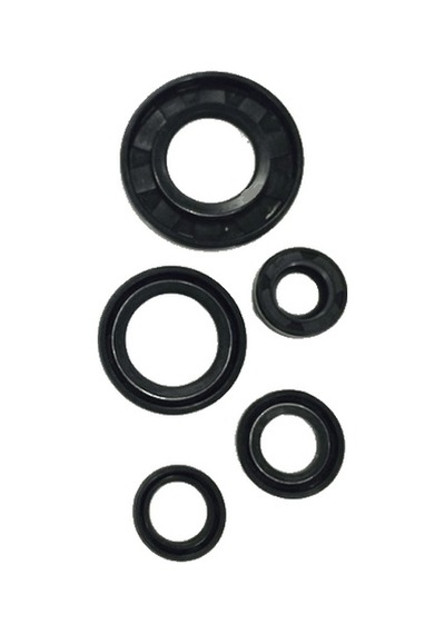 Ybr Esd 125 Motor Keçe Seti