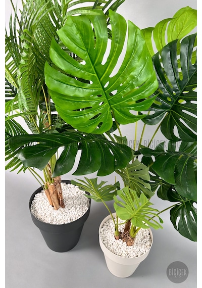 Biçiçek Yapay Areka Palmi̇yesi̇ Ve Monstera Ağacı Yali Saksıda