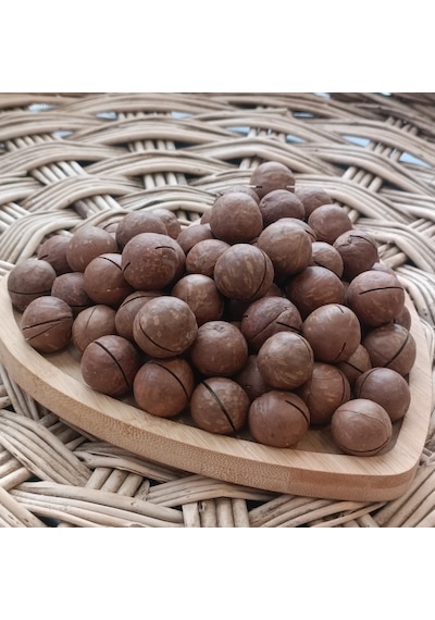 Toptan Kabuklu Kavrulmuş Makademya Fındığı 10 Kg 10 KG