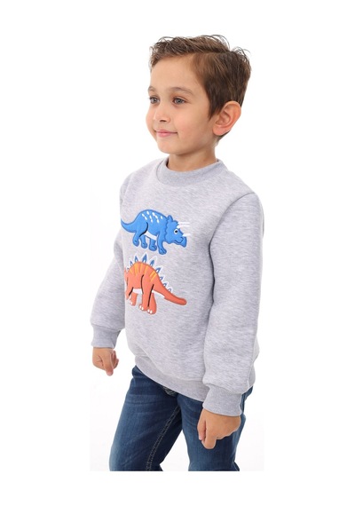 Toontoy Kids Toontoy Erkek Çocuk Nakışlı Sweatshirt Gri Melanj