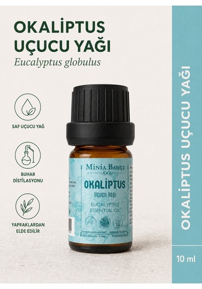 Minia Bahçe Bitki Ve Sanat Atölyesi Okaliptüs Uçucu Yağı Saf ve Katkısız Bitkisel Uçucu Yağ 10 ML