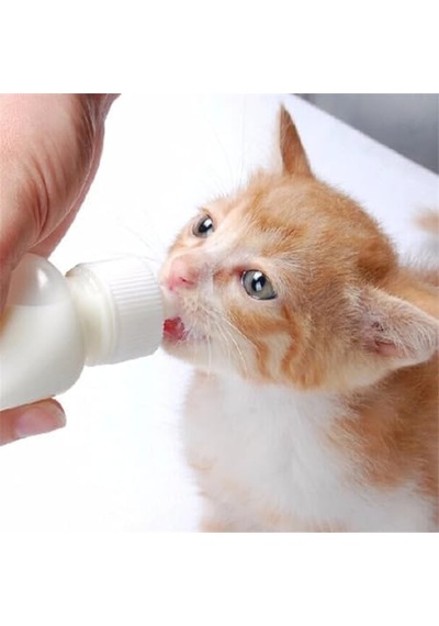 Yavru Kedi Köpek Biberonu 2 Emzikli 50 Ml 1 Adet