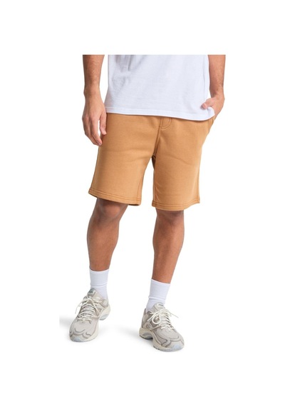 Quiksilver Salt Water Shor Erkek Şort Eqyfb03392-qk.3106 Kahverengi
