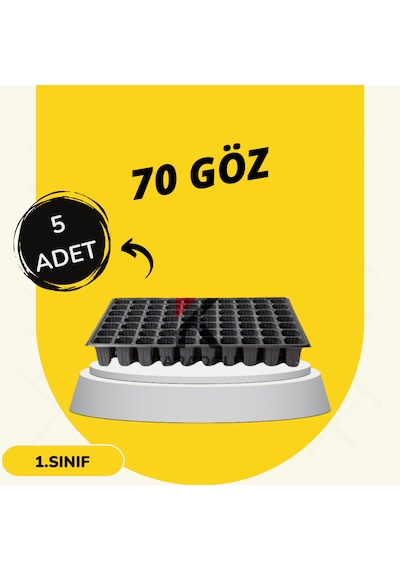 Fide Viyol 5 Adet 70 Göz Fide Viyolü Fidan Altlığı Fidelik