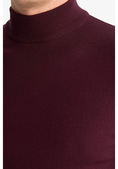 Defacto Slim Fit Dar Kesim Balıkçı Yaka Basic Düz Triko Kazak R1127az25wnbr34 Bordo Defacto Slim Fit Dar Kesim Balıkçı Yaka Basic Düz Triko Kazak R1127az25wnbr34 Bordo