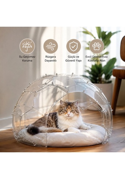 Bauwelt Dome Şeffaf Evcil Hayvan Evi - Kedi Ve Küçük Irk Köpekler İçin Demonte Yaşam Alanı