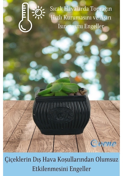 Mini Çiçek Saksı Küçük Sukulent Kaktüs Saksısı 3'lü Set Mini Çizgili Çiçekli Model - Siyah
