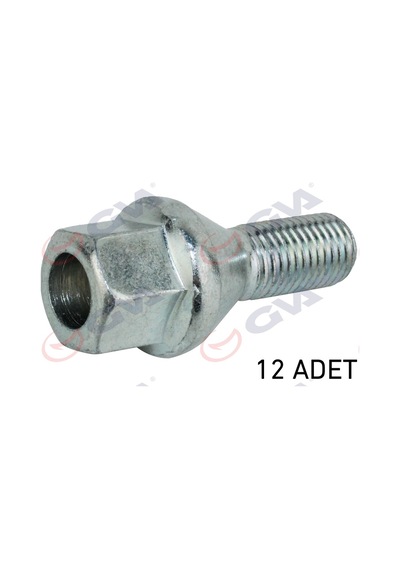 Gva Bijon Civatası Renault Megane-clıo Y.m. Dacıa Duster-logan Delikli Tip Paket 12 Gva 8810126 8200473353 402222121r