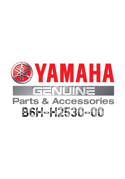 Yamaha Nmax 125-155 2021-24 Arka Fren Müşürü
