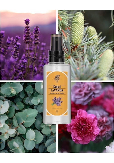 Rebul Kolonya 125 Ml Lavanda