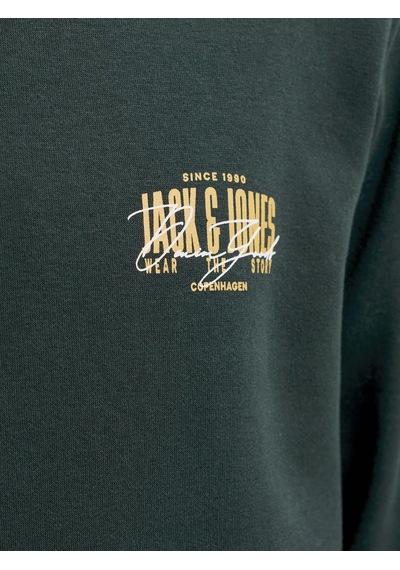 Jack&jones Erkek Göğüs Baskılı Bisiklet Yaka Uzun Kollu Sweatshirt - Aero - 12298492 Scarab-small Print-1274740 Jack&jones Erkek Göğüs Baskılı Bisiklet Yaka Uzun Kollu Sweatshirt - Aero - 12298492 Scarab-small Print-1274740