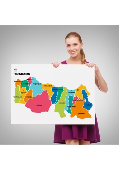 Trabzon İli Ve İlçeler Haritası Dekoratif Kanvas Tablo 1469 95 X 55