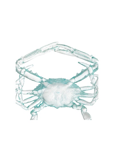 Mudo Home Ocean Crab Biblo 16x17x3 Cm