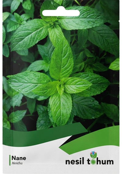 Nesil Tohum Nane Mentha Tohumu 10 Gr