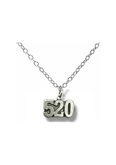 520 Numeroloji Bereket Unisex Kolye 60 Cm Zincirli, Anlamlı Tasarım Çok renkli