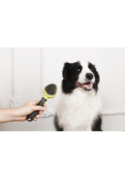 60107099 M-pets Clıck And Groom Kedi Ve Köpek İnce Telli Fırça