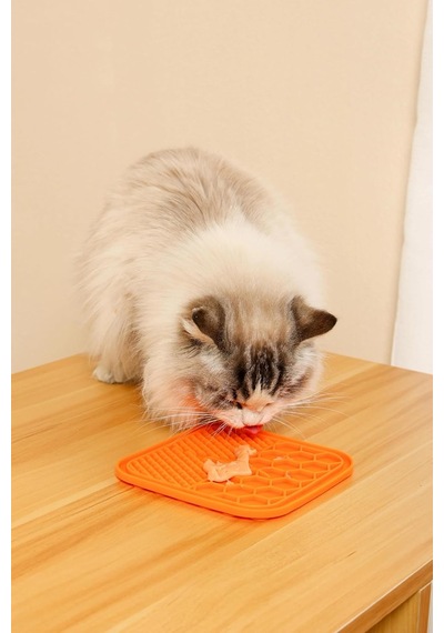 Creamy Somon Balıklı Kedi Ödülü 4x15gr
