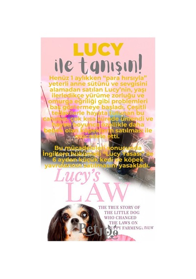 Petjoo 11.Lucy Gri-Sarı Qr'lı Köpek Künyesi