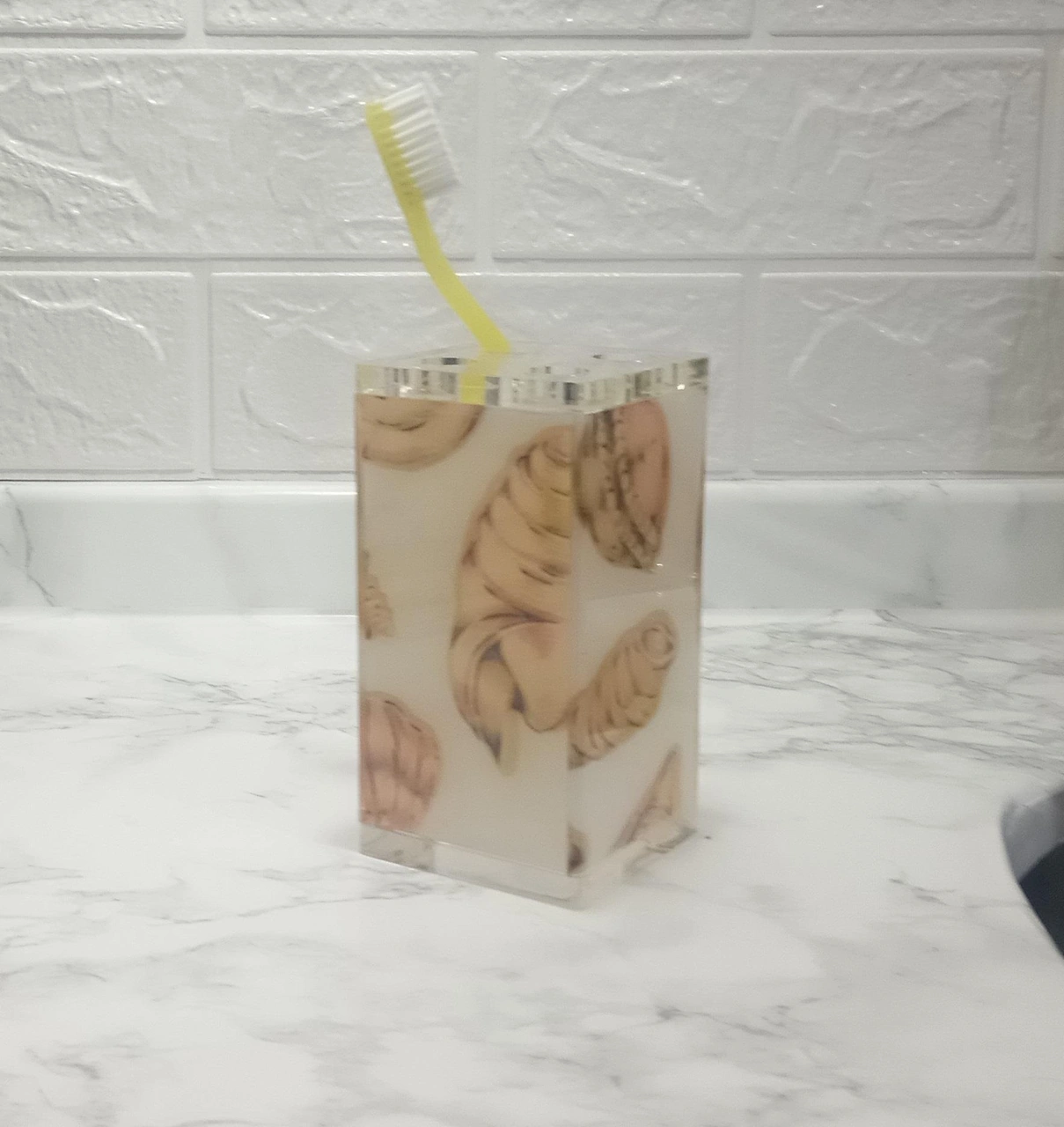 2 Adet Diş Fırçalık İstiridye Akrilik 6x6x12cm Banyo Seti Çok Renkli