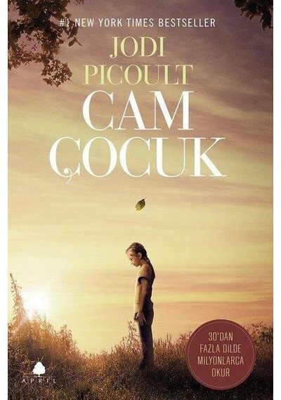 Cam Çocuk - Jodi Picoult - April Yayıncılık