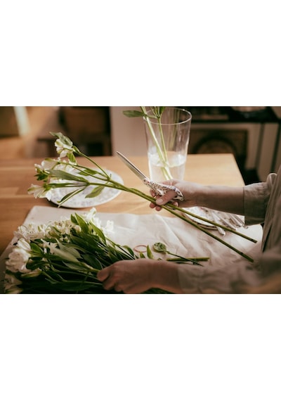 Fiskars X Iittala Taika Makas 21 Cm Beyaz