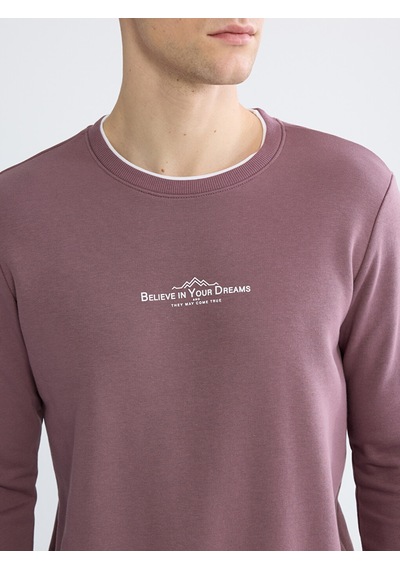 Lcwaıkıkı Classic Mürdüm Regular Fit Bisiklet Yaka Baskılı Erkek Sweatshirt