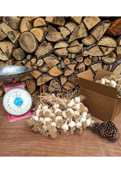 Kastamonu Taşköprü Sarımsağı 1 KG