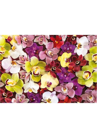 Educa 1000 Parça Orkide Çiçek Kolajı - Orchid Collage - 19558
