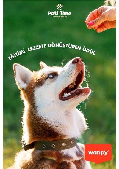 2li Set - Dana Biftek Dilimleri Ve Ödül Bisküvisi Tavuk Sargılı Köpek Ödül Maması Köpek Ödülü 100 Gr