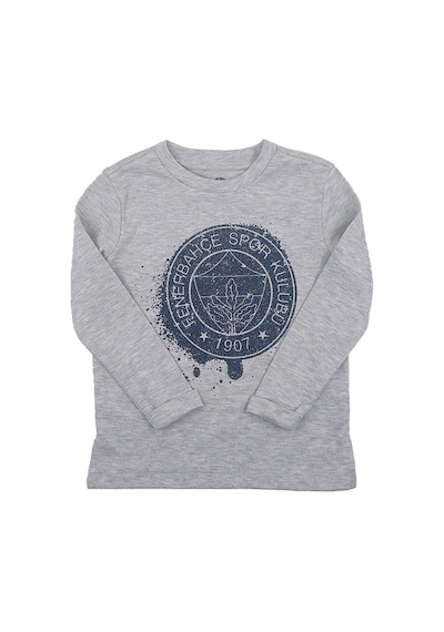 Fenerium Fenerbahçe Lisanslı Yaldızlı Fb Logo Gri Çocuk Sweat Ahşap Kutulu Gri