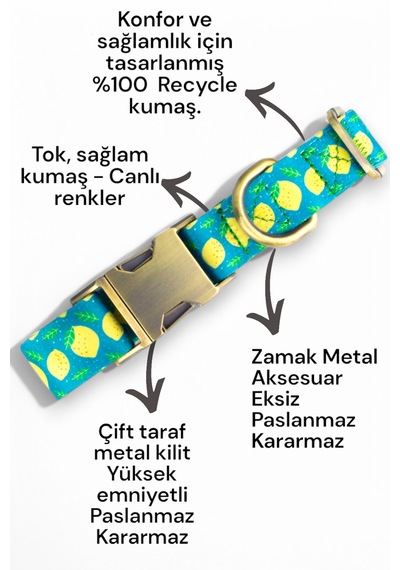 Caramelos İsimli Köpek Tasması, Orta Ve Büyük Irk Köpek Tasması N Yeşil