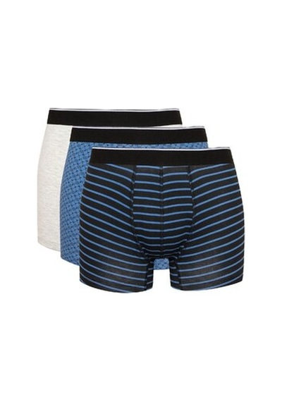 DeFacto Regular Fit Çizgili 3'lü Boxer C9573AX24CWBK81